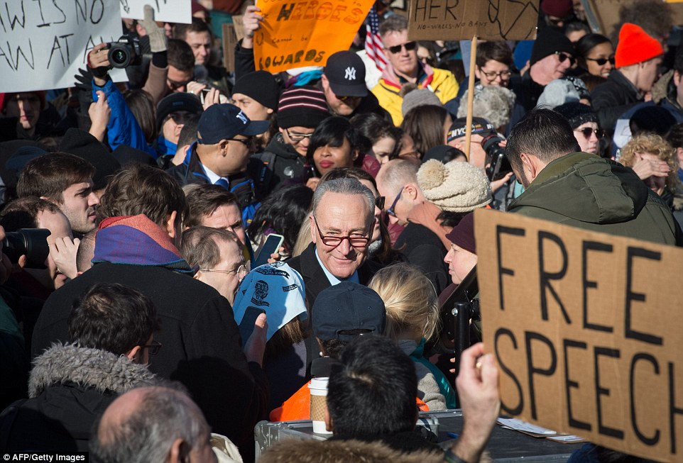 US Senator Charles Schumer (center) is pictured among protesters gathered in New York City's Battery Park on Sunday