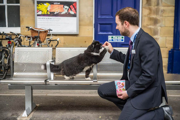 elix the purrfect railway cat has 100,000 Facebook followers is the