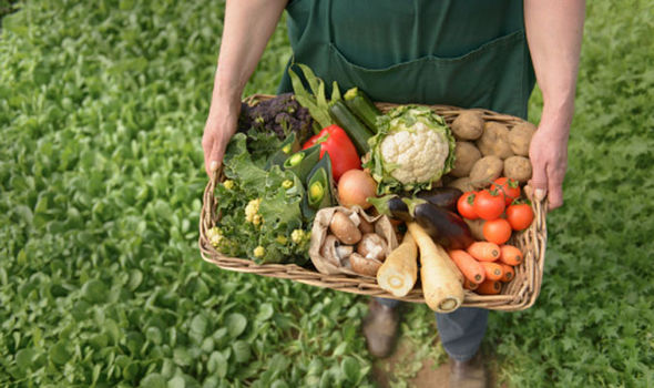 Organic farming has between 17 and 25 per cent smaller yields