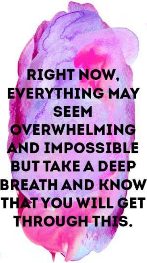 taurus never give up motivational quotes zodiac signs