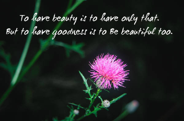 beauty quotes