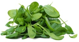A Pile of Spinach Leaves