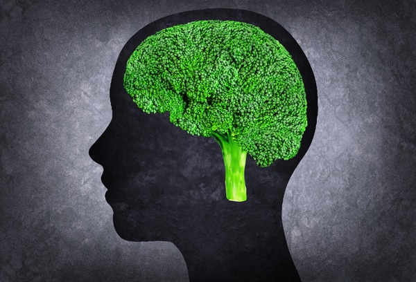 Silhouette of Head With Broccoli as Brain