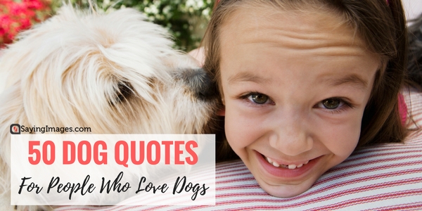dog quotes love