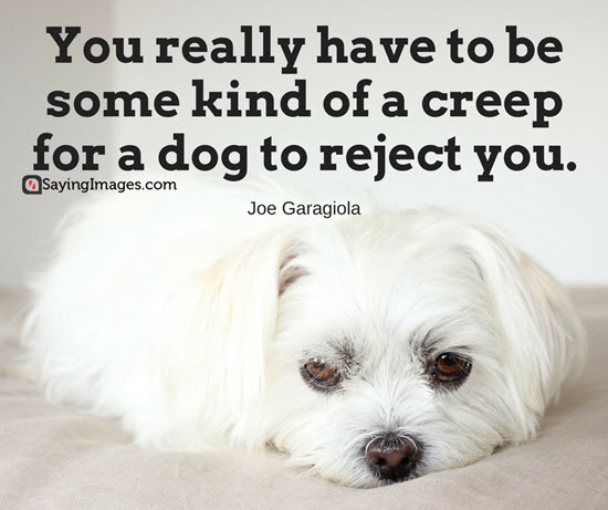 funny dog quotes