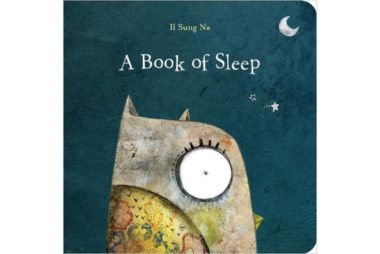A Book of Sleep